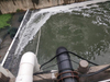 Casos de monitoramento de Ningde de teste de água de rio preto e fedorento