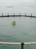 Probest PB -060-AY Buoy Lake Monitoramento da qualidade da água Monitoramento em tempo real da qualidade da água, temperatura, pH, condutividade, oxigênio dissolvido e turbidez.