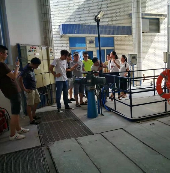 Probest Treinamento Externo