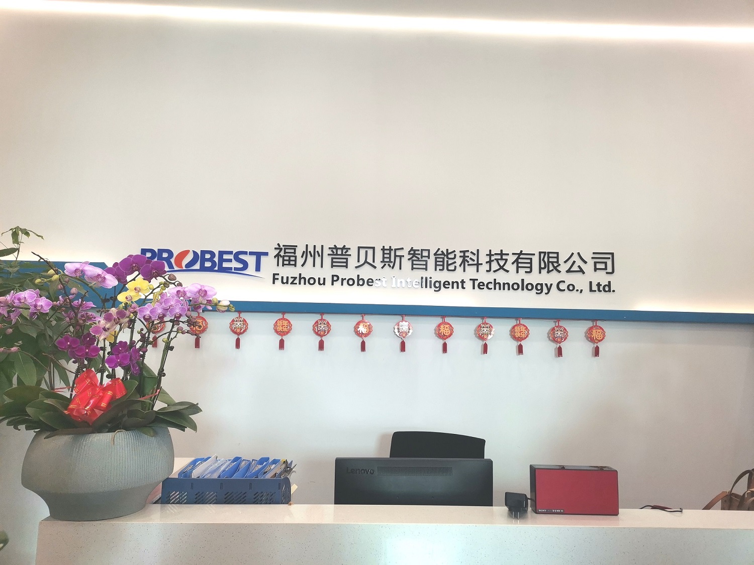 2025 probest recuperar trabalho