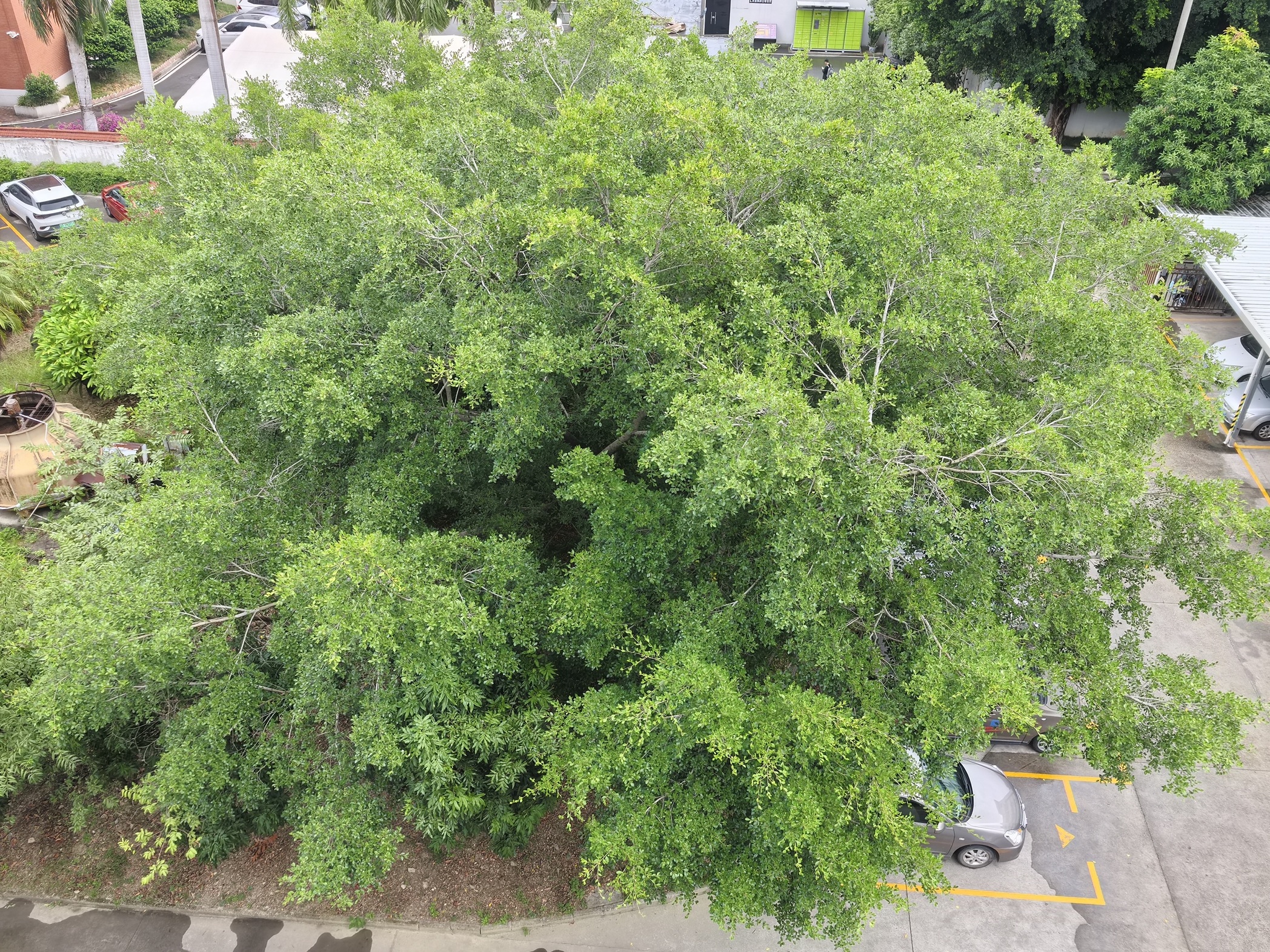 Probest ambiente do fabricante do sensor de &aacute;gua